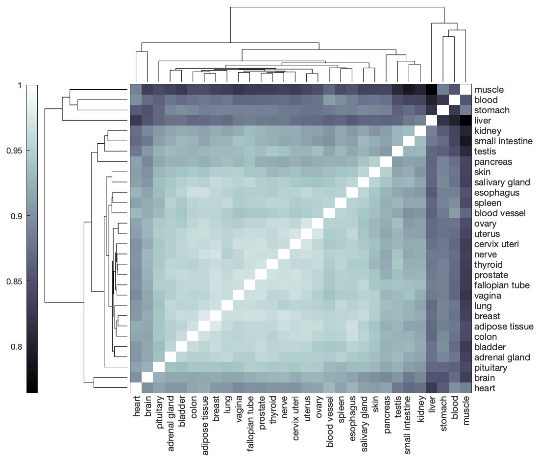 GEM Hamming distances